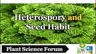 Heterospory and Seed Habit  Plant Science Forum [upl. by Patrizius]