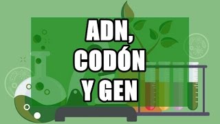 Genética ADN codones y genes [upl. by Amsa]