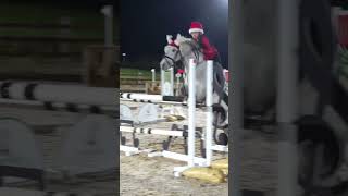 Harlow jumping 1m25 on Arg 😍🎄🦌 [upl. by Trisha]