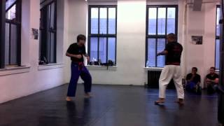 Krav Maga Federation  Green Belt Test [upl. by Jule]