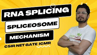 RNA splicing and processing  RNA splicing mechanism  spliceosome [upl. by Migeon]