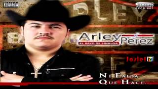 Javier Torres El JT Arley Perez Ft Los Nuevos Rebeldes En Vivo FP [upl. by Allehcram]