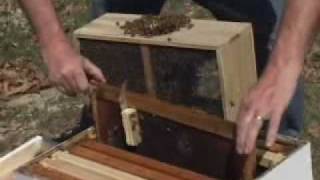 wwwnebeescom  How to Install a Package of Honey Bees [upl. by Ecnal]