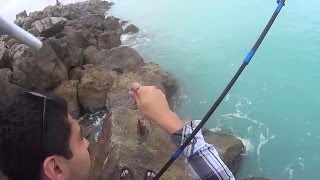 Pesca en Escolleras Playa Miramar Tampico [upl. by Aline]