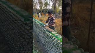 What An Interesting Idea Building Beer Bottle Walls satisfying shot [upl. by Angele]