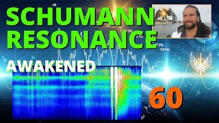 SCHUMANN RESONANCE Power 60  Dormant is Awakened schumannresonance [upl. by Nosac93]