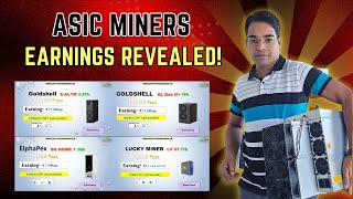 Making money with ASIC miners in 2024  Earnings revealed [upl. by Hpejsoj]