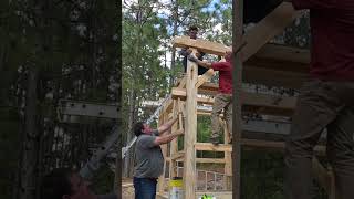 Timber Framing Kong Style [upl. by Lambert]