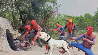 PRO 5 Squad SPIDERMAN Fights To Rescue 2 Boys From Scary Ferocious 2Horned Monster [upl. by Nylegna]