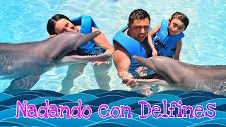 Nadando con delfines en Cancún cuánto cuesta y como es la experiencia delfines acuario cancun [upl. by Ennaear]