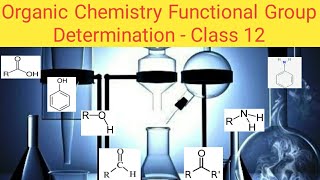 Practical  Determining the functional groups organic compounds class 12 CBSE in Tamil [upl. by Shaddock476]