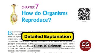 Class 10 Biology How Do Organisms Reproduce Detailed One Shot Explanation [upl. by Seumas528]