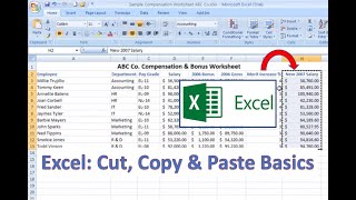 Excel HowTo Cut Copy and Paste Basics [upl. by Nalani277]