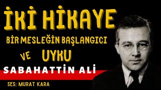 quotUykuquot quotBir Mesleğin Başlangıcıquot Sabahattin Ali Hikayeleri Sesli Kitap [upl. by Ahsinot]