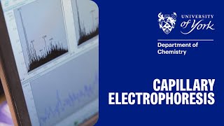 Running a Capillary Electrophoresis [upl. by Luella]