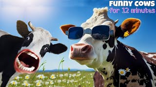 FUNNY COW DANCE FOR 12 MINUTES STRAIGHT  Cow Song amp Cow Videos 2024  Cow dance mix  dancing cow [upl. by Uta]