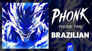 Brazilian Mix Phonk ※ BRAZILIAN PHONK  FUNK MIX ※ Agressive Phonk ※ Фонк 2024 [upl. by Thesda826]