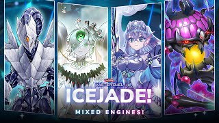 ICEJADE WITH THREE ENGINES‼️ Another Fun Way to Play Icejade YuGiOh Master Duel [upl. by Lorin]