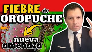 ¡ALERTA FIEBRE OROPUCHE  LA NUEVA AMENAZA DE SUDAMÉRICA [upl. by Tucky]