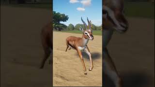 Thomsons Gazelle Running in Planet Zoo Shorts [upl. by Obeng930]