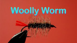 Begiiners Fly Tying Series a Classic Wet Fly  the Woolly Worm [upl. by Aynodal383]