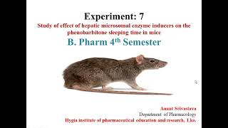 Study the effect of hepatic microsomal enzyme inducers on the phenobarbitone sleeping time in mice [upl. by Edijabab]