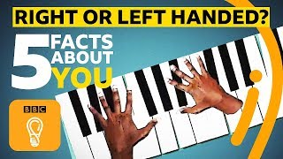 Right or lefthanded 5 facts about you  BBC Ideas [upl. by Kenn]