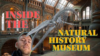 How is it inside London’s iconic Museum 🦖 [upl. by Phi]