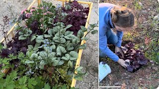 Planting Shade Loving Perennials Zone 3  Simply Bloom [upl. by Patnode281]