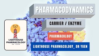 Pharmacodynamics Carriers amp enzyme as drug targets [upl. by Ognimod755]