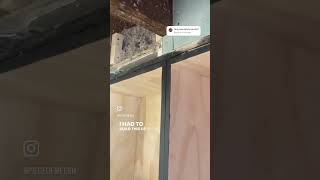 Revealed floor joists in my pantry homerenovation beams diy [upl. by Atterol480]