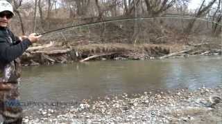 Oshawa Creek Rainbow Trout Fishing [upl. by Annovoj]