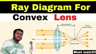 Convex lens Ray Diagram  Lens  Science  Maharashtra board [upl. by Sherlock]