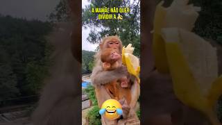 viralshorts viralvideo love monkey banana like likeforlikes [upl. by Sirromal]