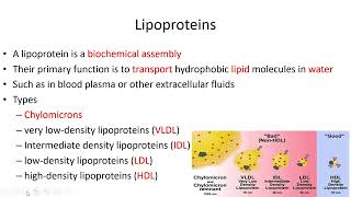 Lipids Classification  Lecture 7c [upl. by Legir863]