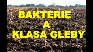 Jak bakterie wpływają na klasę gleby agriculture rolnictwo [upl. by Lemkul]