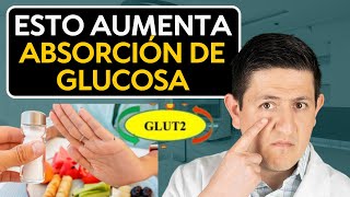 La cantidad de Sal y su impacto en tu Glucosa Dr Antonio Cota [upl. by Yeslehc]