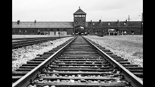 Die Geschichte von Auschwitz Doku Deutsch [upl. by Edgar527]