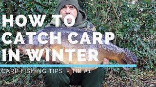 CARP FISHING TIPS – HOW TO CATCH CARP IN WINTER  TIP 1 [upl. by Solenne]