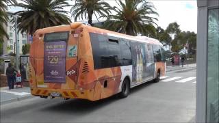 Melbourne Transport  Buses at Doncaster [upl. by Nylcoj821]