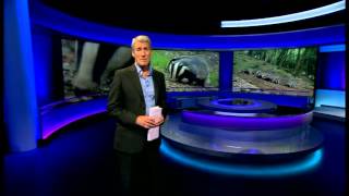 BBC Newsnight  From New Broadcasting House 231012 [upl. by Davidde]