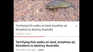 Terrifying fish walks on land Breaths air and threatens to destroy Australia [upl. by Alyehs]