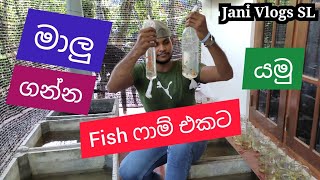 මාලු ගන්න ෆිෂ් ෆාම් එකට යමු  Malu Ganna Fish Farm Ekata Yamu  Jani Vlogs SL [upl. by Dimitri]