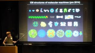 CryoEM Workshop  Bridget Carragher August 8 2019 [upl. by Nodmac]