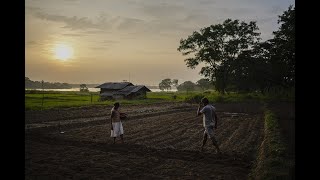 Les indispensables du stock alimentaire  Rations de survie en barres ⚠️ [upl. by Aliahs421]