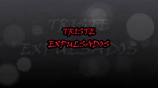 triste expulsados  tablatura bass cover [upl. by Arnulfo956]