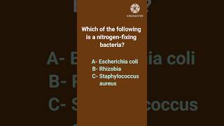 Nitrogen fixing bacteria Microbiology quiz youtubeshorts biology microbiology shorts [upl. by Llehsim]