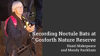 Recording Noctule Bats at Gosforth Nature Reserve [upl. by Tenney]