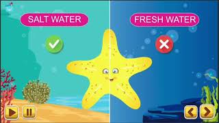 About Starfish Sea Animals  Starfish facts for kids  facts about sea star  Sea Star facts [upl. by Eceirehs]