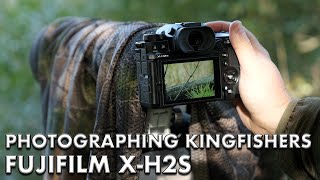 Photographing Kingfishers with Fuji XH2S  XF 150600mm  Bird Photography [upl. by Akinej362]